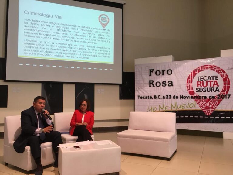 Movilidad Segura